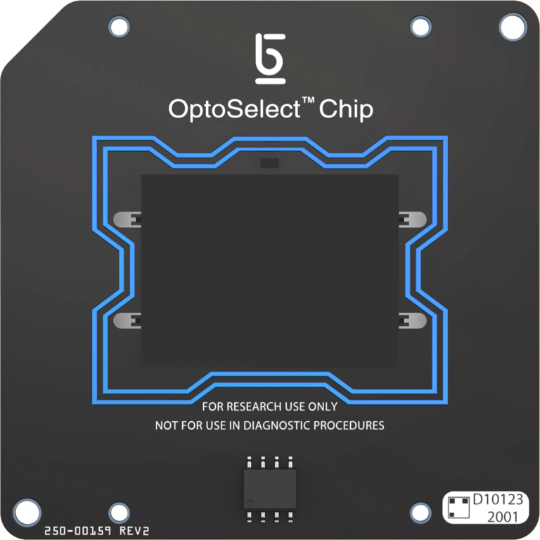chip-768x768