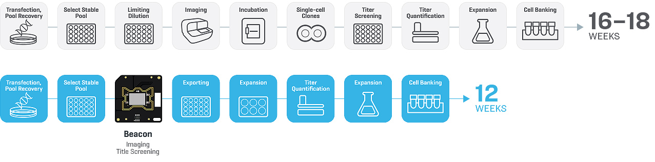 FIGURE 1: With the Beacon system, Mycenax was able to increase throughput by 4X while reducing their cell line development timeline by 33% to 50%.