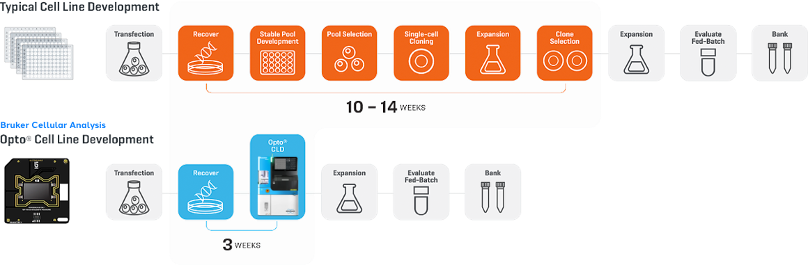 fig-abd-hybridoma-workflow-01b-bruker-azure