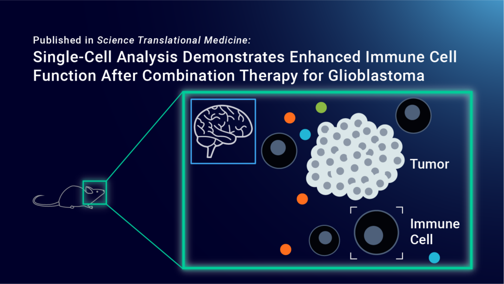 Blog Post_Single-Cell Analysis Demonstrates Enhanced Immune Cell Function_jt