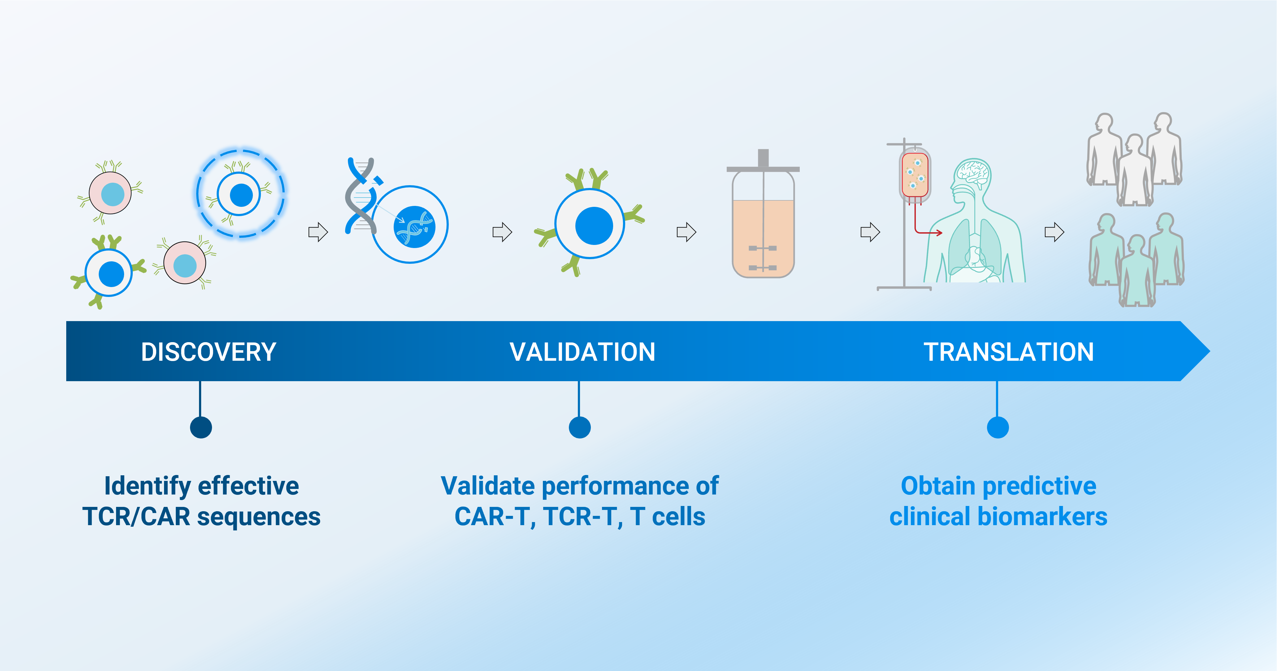 T Cell App Note Workflow
