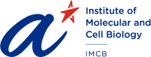 logo-imcb