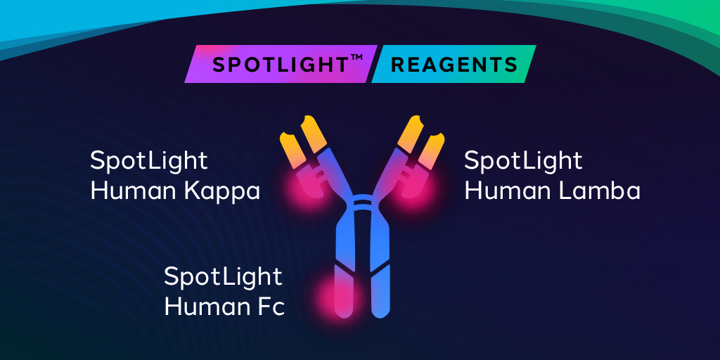 accelerating-the-cell-line-development-timeline-beacon-platform-spotlight-reagents