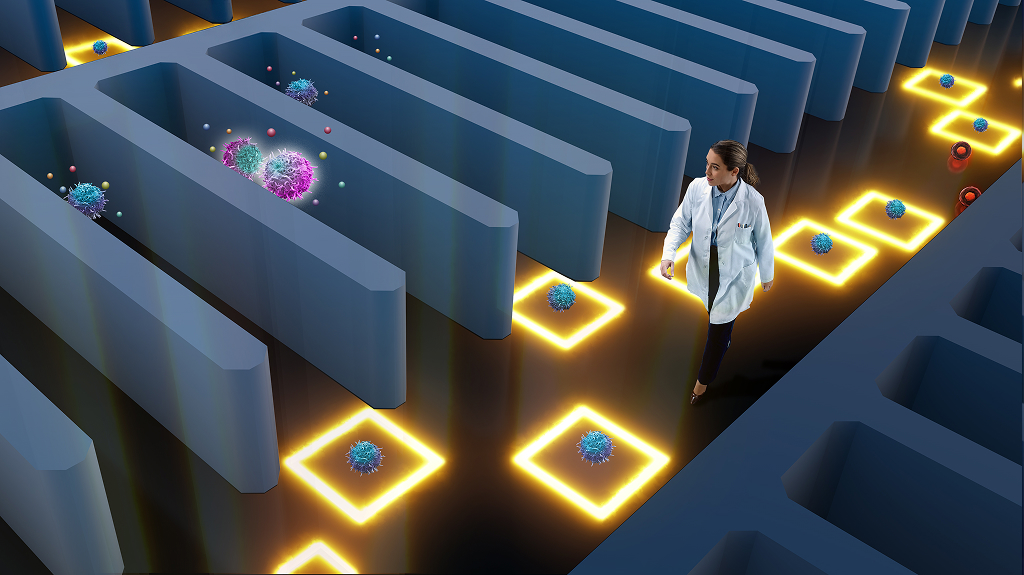 blog-discovery-shines blog-discovery-shines