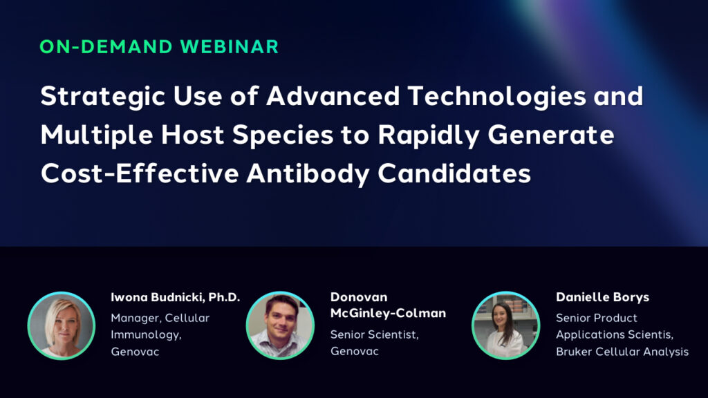 Strategic Use of Advanced Technologies and Multiple Host Species to Rapidly Generate Cost-Effective Antibody Candidates