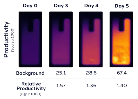 cld-productivity-panel-dark-opt cld-productivity-panel-dark-opt