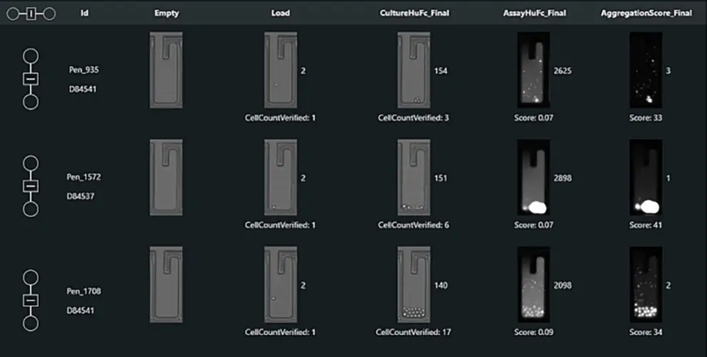img-assay-analyzer-01a-768x388-opt