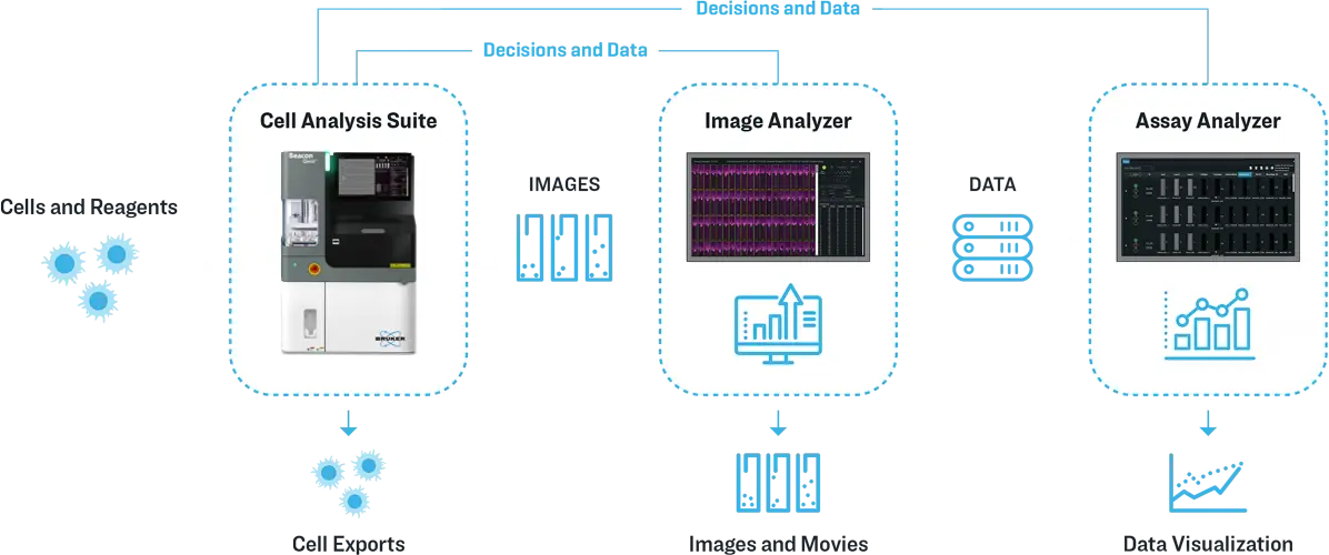 img-cas-workflow-01b-3-bruker-opt
