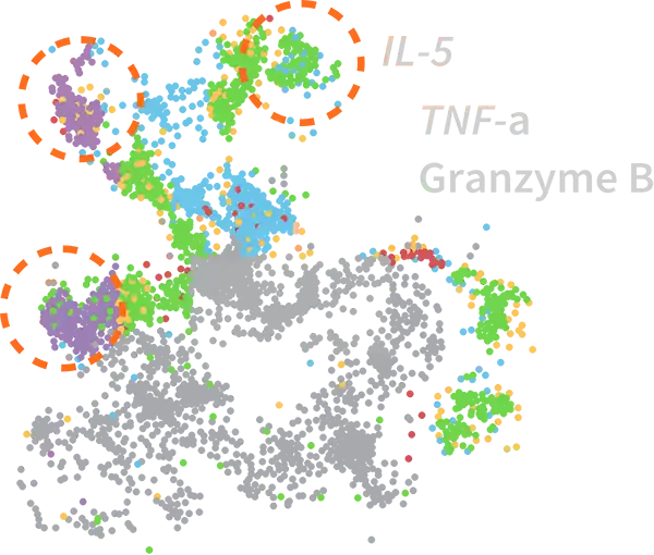 Dominant Functional Group