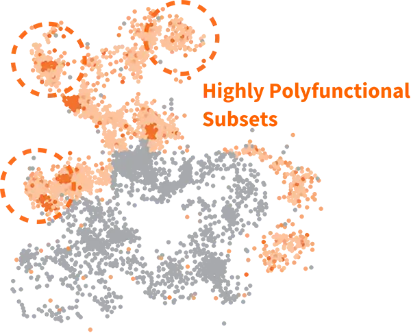 Polyfunctionality