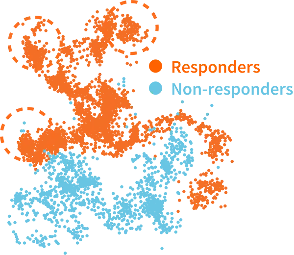 Donor Groups