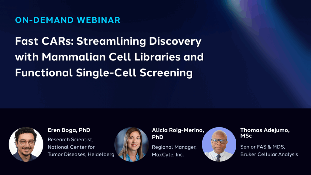 Fast CARs: Streamlining Discovery with Mammalian Cell Libraries and Functional Single-Cell Screening