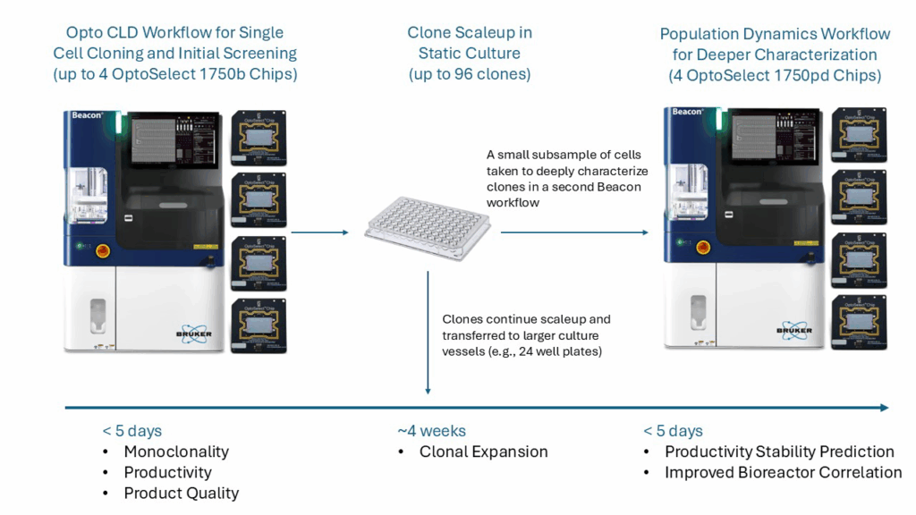 Population Dynamics Workflow Overview