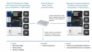 Population Dynamics Workflow Overview