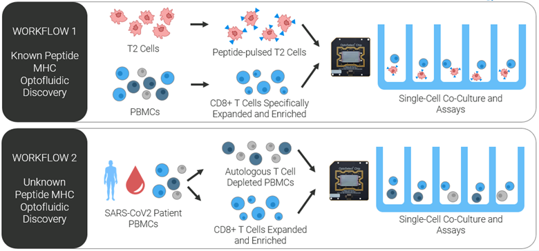TCR Discovery Workflows on Beacon Platform