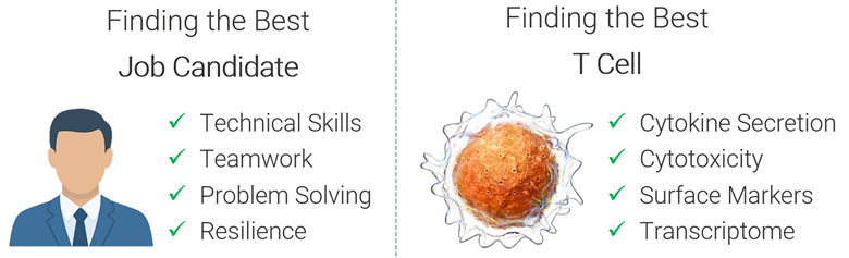 WhyMultiFunctionalSingleCellProfilingMattersInImmunotherapy