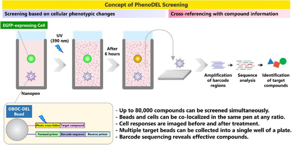 Concept of PhenoDEL screening workflow using Beacon Optofluidic System