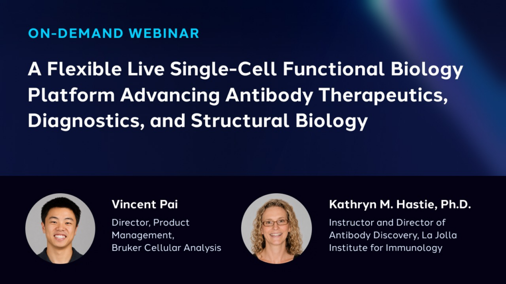 A Flexible Live Single-Cell Functional Biology Platform Advancing Antibody Therapeutics, Diagnostics, and Structural Biology